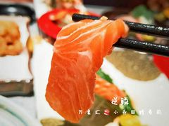三文鱼刺身-小乔回转寿司(铁东万象汇店)