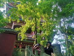 -常德桃花源景区