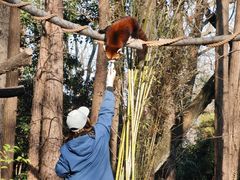 -全家便利店(虹井路店)