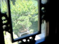 -绮园景区
