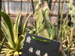 -昆明市金殿名胜区