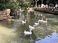 -兰亭风景区