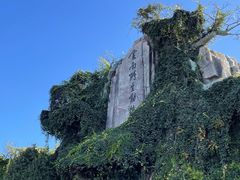 -云南野生动物园