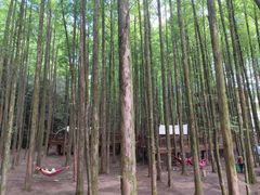 -山王坪喀斯特国家生态公园