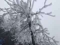 -井冈山风景名胜区