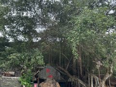 -海南槟榔谷黎苗文化旅游区