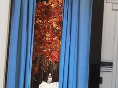 -徽镇小厨·经典徽菜(马连道店)