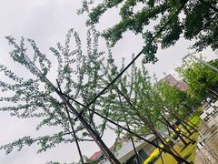 -云锦路(地铁站)