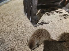 -常州海昌海洋探索馆