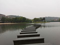 -上海佘山世茂艾美酒店