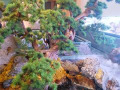 -潮上潮(南中环店)