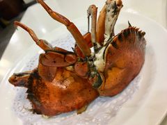 -鑫悦楼煎蟹·16年海鲜大排档