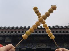 -糖葫芦王保定名吃(古莲花池店)