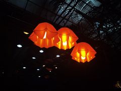 -世外桃源农庄·德清土菜(兴康南路店)