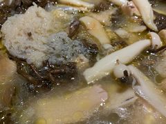 野生菌炖土鸡-滇铺子·云南特色菜·第九届野生菌美食节(东风东路c86店)
