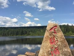 -五营红松林海景区