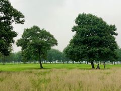 -汉长安城未央宫国家考古遗址公园