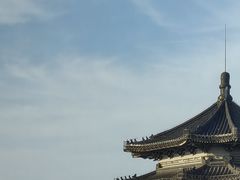 -喜悦烤鸭·新京菜(王府井店)