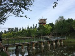 -东郊湿地公园