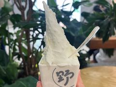 -野人先生Gelato(上海长宁龙之梦店)