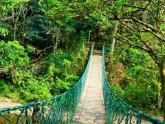 -西双版纳原始森林公园