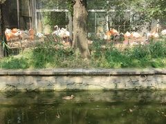 -北京动物园