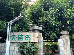 -大自然素食(望桐路店)