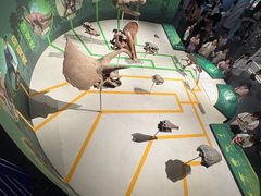 -国家自然博物馆