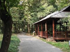 -南宁良凤江国家森林公园