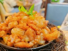 -丁老爷子苏香圆