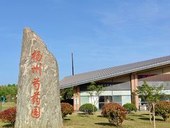 -扬州芍药园(仪征市)
