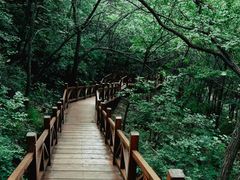 -大岭沟猕猴桃谷风景区