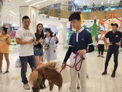 -凯德广场(西城店)