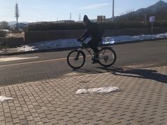 -北京凤凰岭