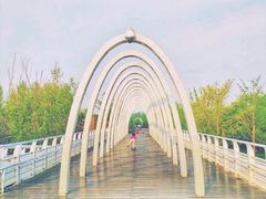 -大兴滨河森林公园