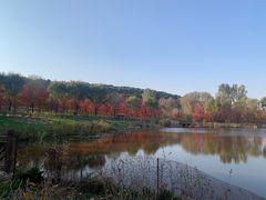 -沈阳森林动物园