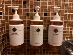 -丽思卡尔顿酒店泳池(金融街店)