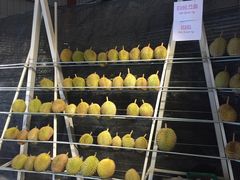 -都念榴莲·城市榴莲