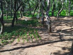 -长春市南湖公园