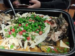 -令狐冲·活鱼馆(宝龙店)