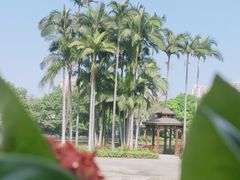 -荔湾湖公园