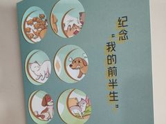 -艾贝尔宠物医院·24H转诊中心·肿瘤猫专科(江宁双龙店)