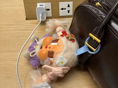 -Apple零售店(深圳益田假日广场店)