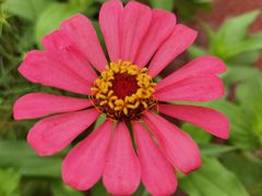 -桤木河湿地公园