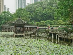 -龙头寺公园