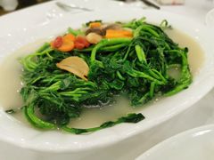 上汤浸时蔬-新兴家喻酒家·羊城名宴(昌岗店)