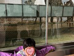 -石家庄市动物园