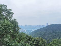 -桃花岭景区