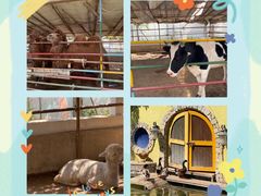 -南宫五洲植物乐园