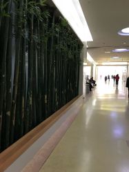 -天津市儿童医院(北辰龙岩院区)
